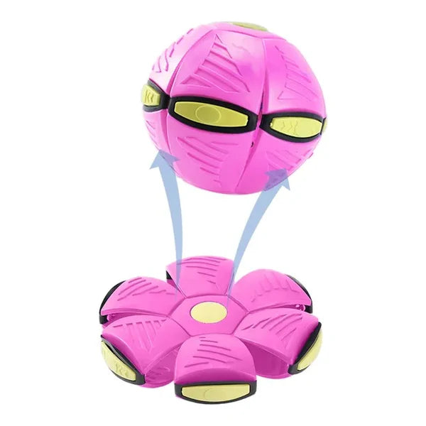 Doggy disk ball
